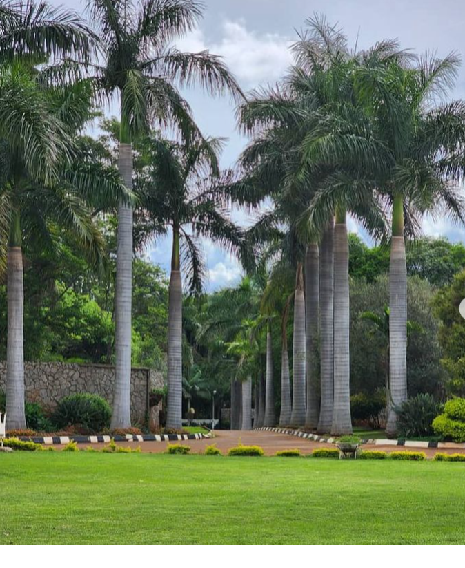 Contact us 3 ACwAAAAAAQABAAACADs=